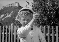 За «обстрел» детьми поезда алычой в Пятигорске ответят их родители