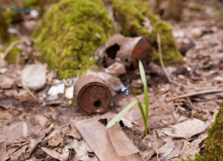 Агрофирма устроила незаконную свалку отходов и нанесла экологии ущерб почти на 5 миллионов рублей на Ставрополье