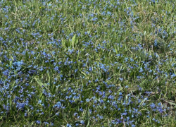 Погода на 2 апреля в Ставрополе: воздух прогреется до +17 