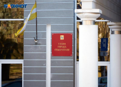 Панно под старину и 800 пакетов для них обойдутся казне Ставрополя в полмиллиона рублей
