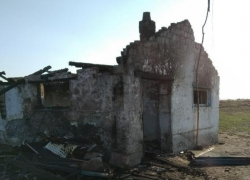 Пожарные спасли 150 животных на ферме