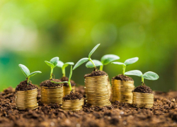 Инвесторов Ставрополья освободят на пять лет от налогов на имущество