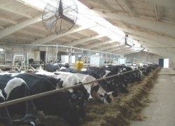 В Левокумском районе глава районной администрации бесплатно передал земли предприятию