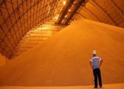 Построить новые заводы по переработке зерна предложат власти Ставрополья Турции