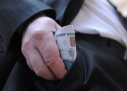 Доходы депутатов Госдумы: Ольга Казакова ходит пешком, а Юрий Эм купил "Мерседес"