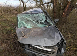 Пьяный водитель «Гранты» врезался в дерево и сломал ногу на Ставрополье