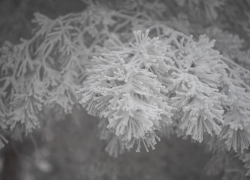 Какая погода в Ставрополе: снег с дождем и по ощущениям до –8 градусов 8 декабря