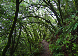На Ставрополье в лесу нашли пропавшего пенсионера
