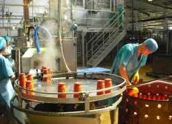 16 миллиардов рублей вложат в переработку сельхозпродукции на Ставрополье 