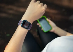 Эксперты назвали одни из самых популярных видов спорта среди ставропольцев