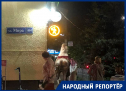 «Шейх» с верблюдом на юге Ставрополя возмутили горожан