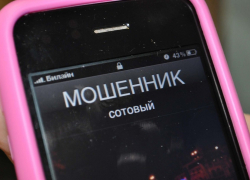 Банковские мошенники пытались обмануть депутата