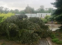 В селе на Ставрополье ввели режим чрезвычайной ситуации