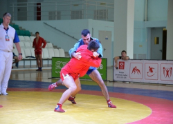 Ставропольские самбисты отметились на фестивале национальных боевых искусств