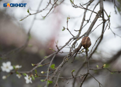 Магнитная буря уровня G2 и штормовые дожди: двойной удар по Ставрополью ожидается 4 апреля