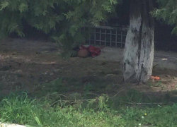 Личности погибших на Ставрополье террористов устанавливают по фрагментам тел