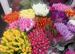 «Мужики нынче жадные пошли»: не более 1000 рублей готовы потратить ставропольцы на букет к 8 марта