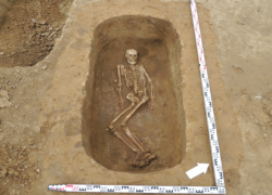 Скелет и находки быта раннего железного века откопали на Ставрополье археологи