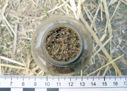 На Ставрополье мужчина хранил почти полкилограмма наркотиков в сене