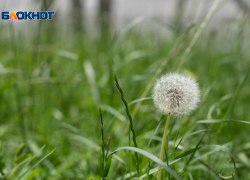 Резкое потепление до +23 градусов придет на Ставрополье в начале недели