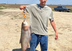 Рыбу-гиганта выловили из ставропольского пруда