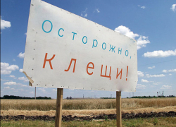 Шесть человек заразились крымской геморрагической лихорадкой за последние дни