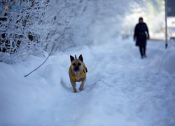 Жесткие морозы до -21 не отпустят Ставрополье и в среду