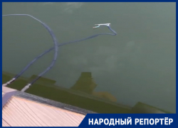 Купание с экстримом. На оголенные провода в озере Кисловодска пожаловались отдыхающие