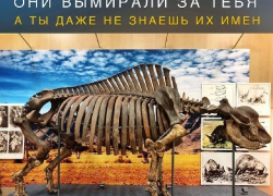 Имя "унисекс" уникальному носорогу предложили придумать жителям Ставрополя