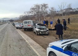 Стоявшая на трассе лошадь лишила автомобилиста жизни на Ставрополье