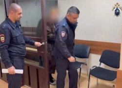 Зоозащитница получила 4 года колонии за отправленное порно искусанному собакой ребенку из Ессентуков