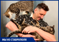 Разрывает хит-парады и воспитывает кошек: как живет солист группы «Градусы» из Ставрополя Руслан Тагиев в 2023 году 