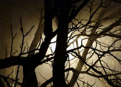 Известна погода в Ставрополе и крае на 15 ноября: густой туман и до +13 днем