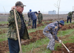 Доход ставропольских фермеров упадет на треть из-за высоких цен на топливо