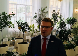 Ставропольской экономике не хватает «морковок»