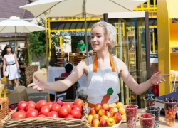 70% продуктов на прилавках Ставрополя произведены в России