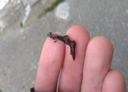 Ставропольских интернет-пользователей взволновал снег из пепла