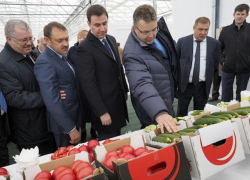 Ставрополье может изменить курс от пшеницы к ягодам и травам