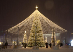 Покупка рекордно дорогой новогодней елки в Ставрополе вновь оказалась под угрозой срыва