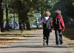 Стало известно, где на Ставрополье дешевле всего отдать ребенка в детский сад