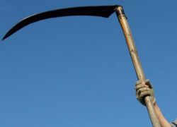 Хотел напугать. Ставрополец ударил брата острием косы в спину