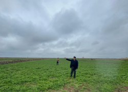 Овощная афера на 9,3 миллиона окончилась для ставропольского агрария реальным сроком