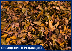 Почему в Ставрополе пахнет гарью и дымом: назвали возможную причину и дали алгоритм действий для горожан