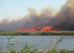 Аномальная жара стала причиной более двух десятков пожаров за один день на Ставрополье