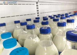 Россельхознадзор снова нашел фальсификат в молочной продукции со Ставропольского края