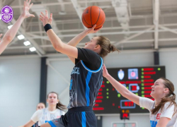 «Где нужно было играть смело — стеснялись»: «Невинномысск» поделил баскет-очки с курским «Динамо»