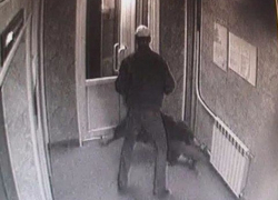 Коварный москвич избил знакомого и украл все его золото в Минеральных Водах