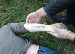 В Буденновске возле городской больницы нашли труп неизвестной девушки