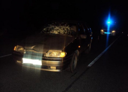 Водитель сбил женщину-пешехода на Ставрополье