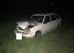 Пешехода на ночной трассе насмерть сбила «четырнадцатая» в Ставропольском крае 